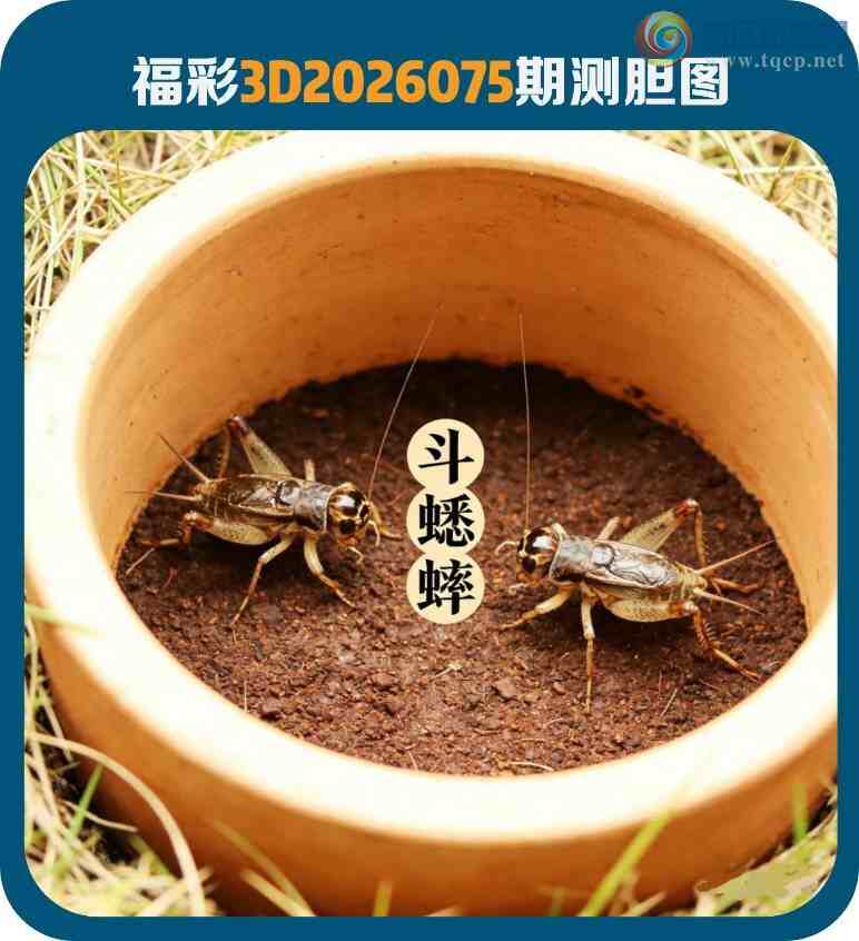 [����3D] 26075�ڣ��������������� ��ҡ��Ӱ˼�޼��ڡ����ա�144 / ����:�������� / ����ID:1231934