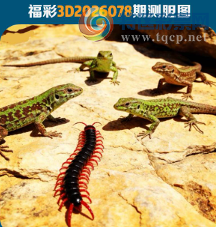 [����3D] 26078�ڣ�ʢ����������Զ�����ա�724 / ����:�������� / ����ID:1233652