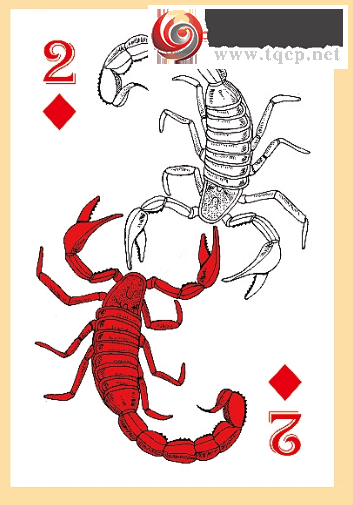 [����3D] 26082�ڣ�������ͥ��δ�� ���������Ǿ��꡾���ա�516 / ����:���ٷ� / ����ID:1235982