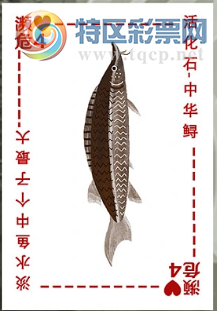 [����3D] 26097�ڣ���������� ��̶��лӡ覴á����ա�728 / ����:��ҹմ�� / ����ID:1244696