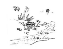 [����3D] 26102�ڣ������һ �������� �������������顾���ա�936 / ����:������ϰ� / ����ID:1247636