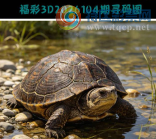 [����3D] 26104�ڣ��̺��ﲨ������ ���İ�������Ȼ�����ա�739 / ����:��Ĭ���� / ����ID:1248794