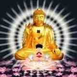 [������] 26105�ڣ��͵����ο���Ϣ���Ӽ�����X86796 / ����:ʮ�˹��� / ����ID:1248874