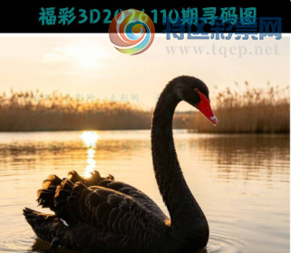 [����3D] 26110�ڣ���������ٻ��� ɽ�ִ�Ӱ�����̡����ա�187 / ����:ɭ�����տ� / ����ID:1252249