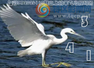 [����3D] 26119�ڣ������Ĺ⺬���� �鳽�����Ϸ��塾���ա�630 / ����:ɭ�����տ� / ����ID:1257385