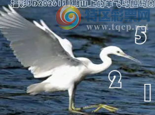 [����3D] 26131�ڣ������Զ����ҷ� ����̨�ߺ����������ա�37 / ����:�¸���ǰ_ / ����ID:1264333