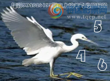 [����3D] 26133�ڣ�һ������ ����ͼ�ա����ա�586 / ����:ɭ�����տ� / ����ID:1265472