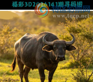 [����3D] 26141�ڣ�����ɽ����׳�� ����ͬ�ǻ�һʮ�����ա�502 / ����:ɭ�����տ� / ����ID:1270070