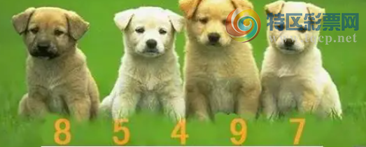 [����3D] 26146�ڣ�����ˮ�Ƴǡ����ա�483 / ����:�ǿ��Ƽ� / ����ID:1272947