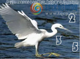 [����3D] 26158�ڣ��۽�ǧ���ɽ��������ա�25 / ����:��ˮ���� / ����ID:1279761