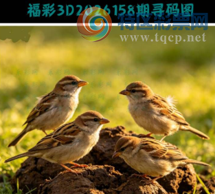 [����3D] 26158�ڣ�Ī̾��������ů �ҽ���Ѫ�����꡾���ա�701 / ����:��ҹմ�� / ����ID:1279765
