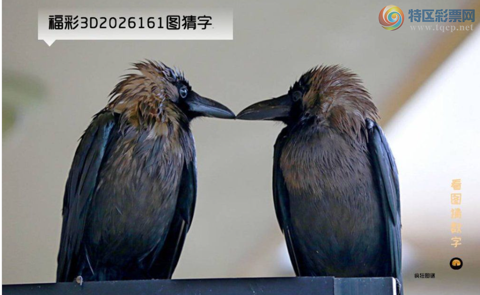[����3D] 26161�ڣ���ͼ˵��827 / ����:ɭ�����տ� / ����ID:1281552