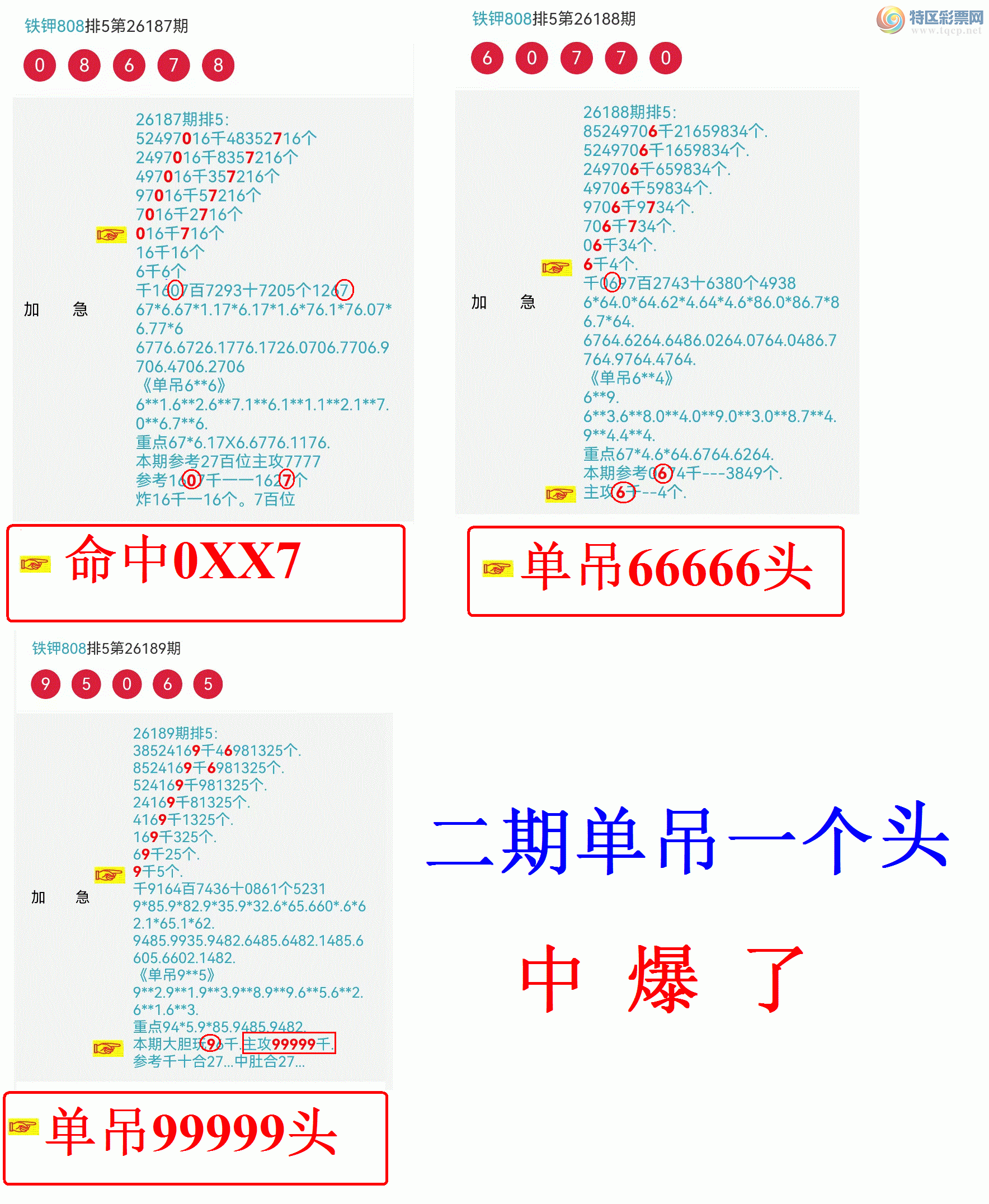 [������] 26190�ڣ������ֵ���һ��99ͷ�ɹ����£�540 / ����:����808 / ����ID:1297563