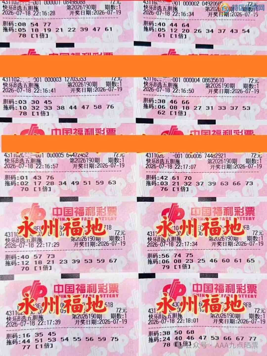 [����8] 26190�ڣ�����8ÿ��ɹƱ�������ʤ��525 / ����:��ľ΢�� / ����ID:1298124