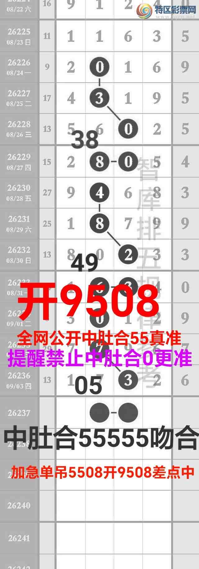 [������] 26238��:��ϲ�Ӽ�����9xx8����9508�����жǺ�5��׼26 / ����:��@�� / ����ID:1324522