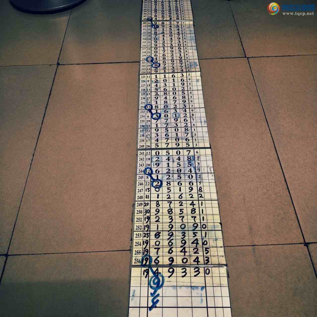 [������] 26258�ڣ�ɽ������������ɸ��������ô�Ҳο�532 / ����:ɽ���� / ����ID:1336113