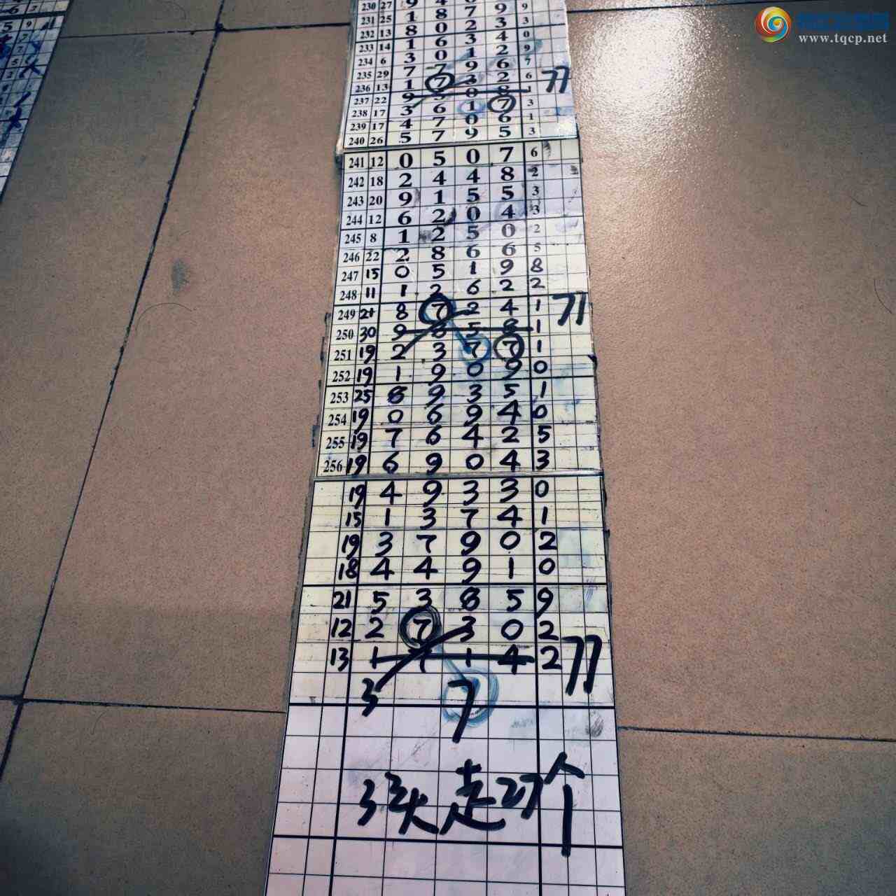 [������] 26264�ڣ�ɽ������������ɸ��������ô�Ҳο�381 / ����:ɽ���� / ����ID:1339776