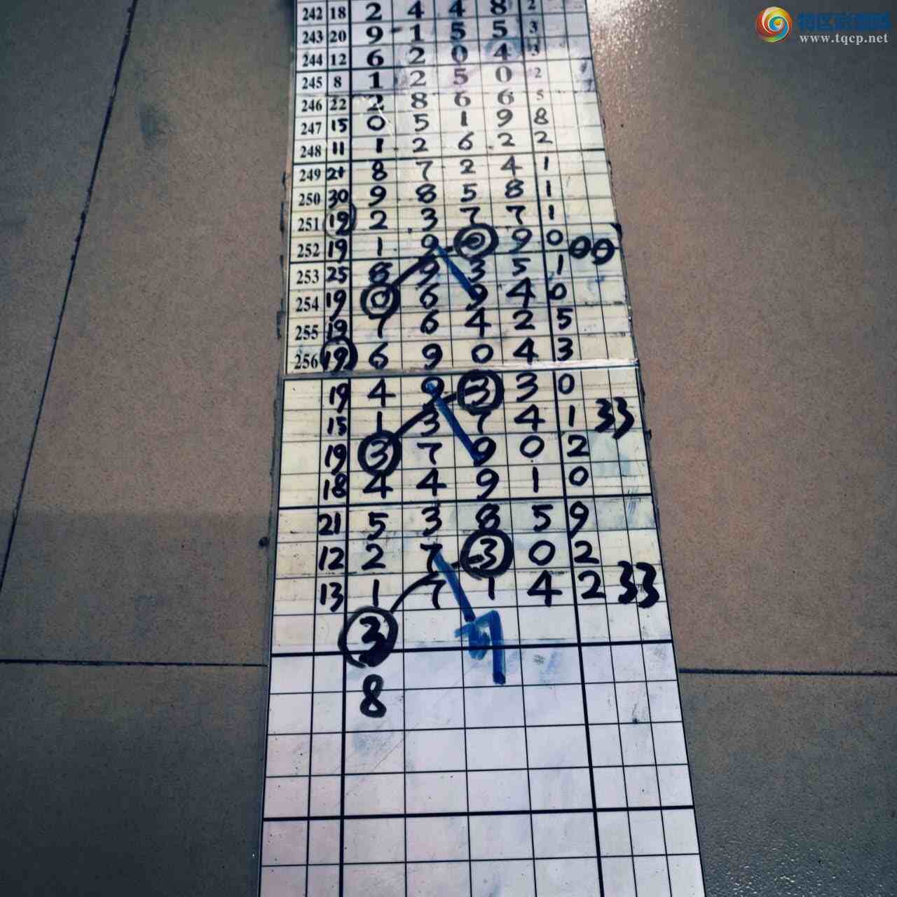 [������] 26264�ڣ�ɽ������������ɸ��������ô�Ҳο�523 / ����:ɽ���� / ����ID:1339776
