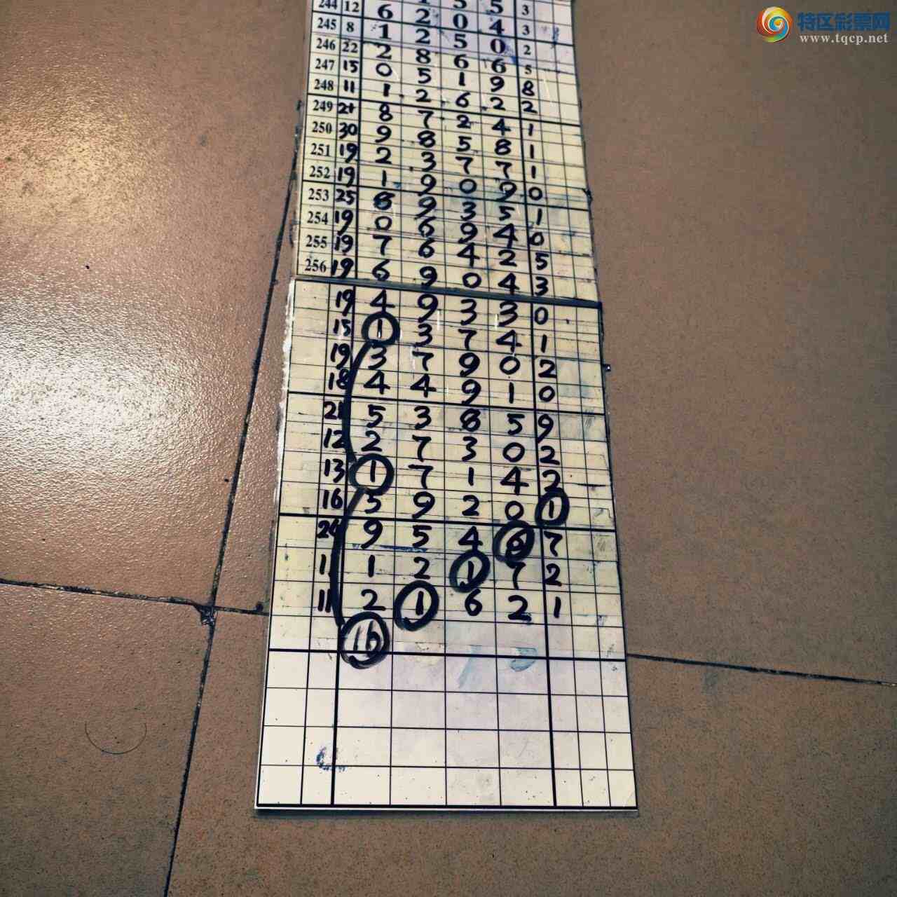 [������] 26268�ڣ�ɽ����������Ӽ���ͷβ36��973 / ����:ɽ���� / ����ID:1341807