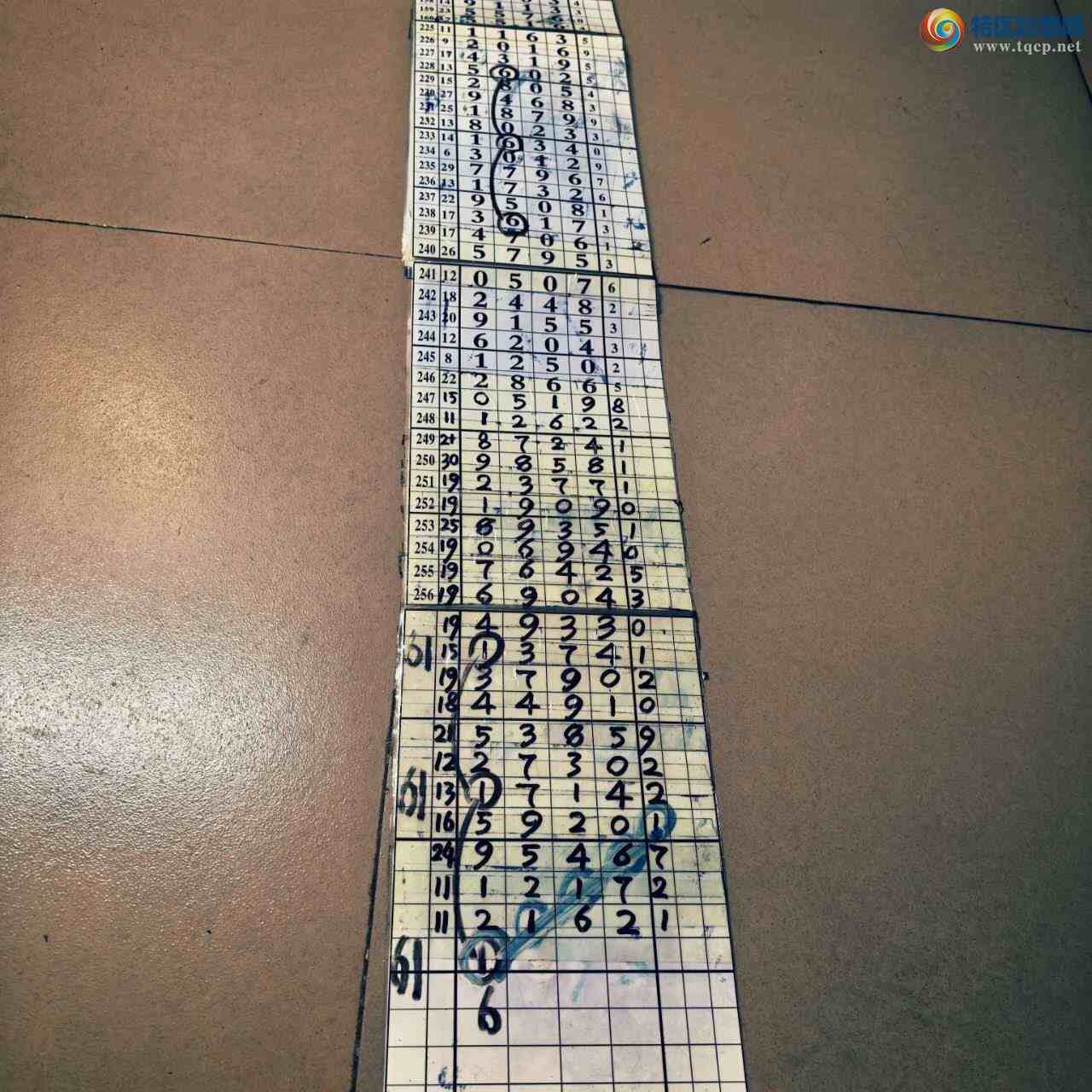 [������] 26268�ڣ�ɽ����������Ӽ���ͷβ36��529 / ����:ɽ���� / ����ID:1341807