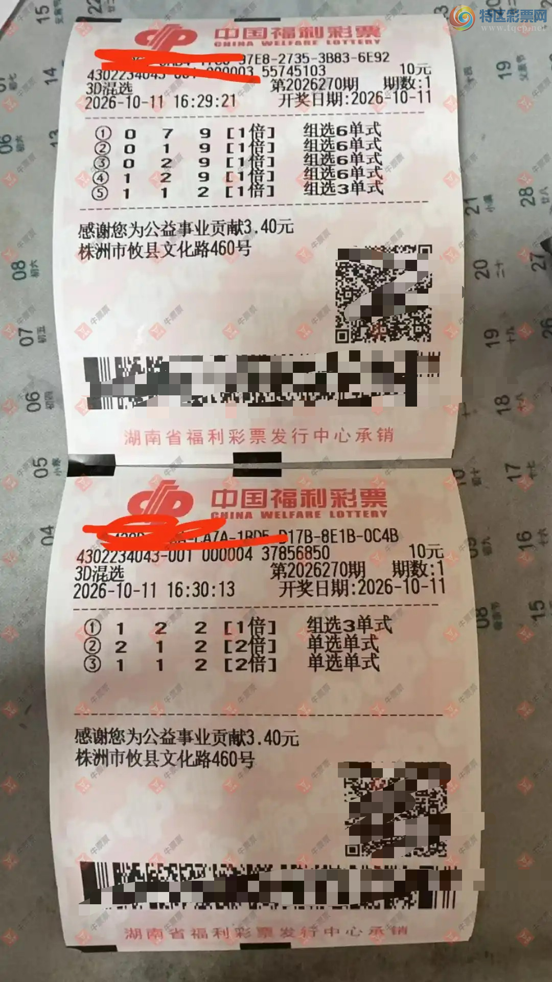 [����3D] 26270�ڣ����_423138����ɹƱ251 / ����:���_423138 / ����ID:1343299